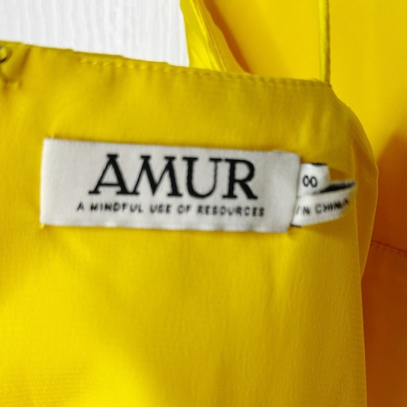 NWOT Amur Viv Mitered Pleating Dress in Yellow Tang Size 00 NWOT - Picture 6 of 14